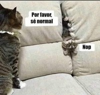 Yooyo