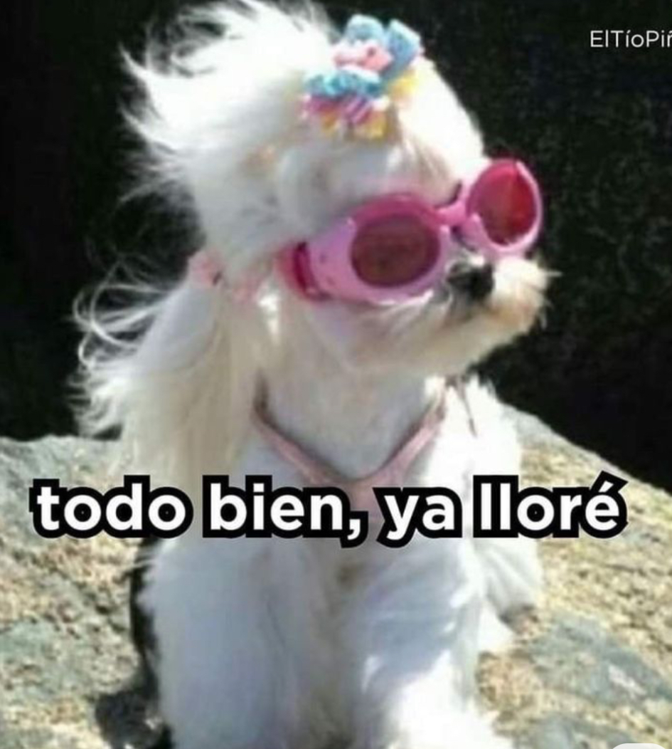 Treballsocial12