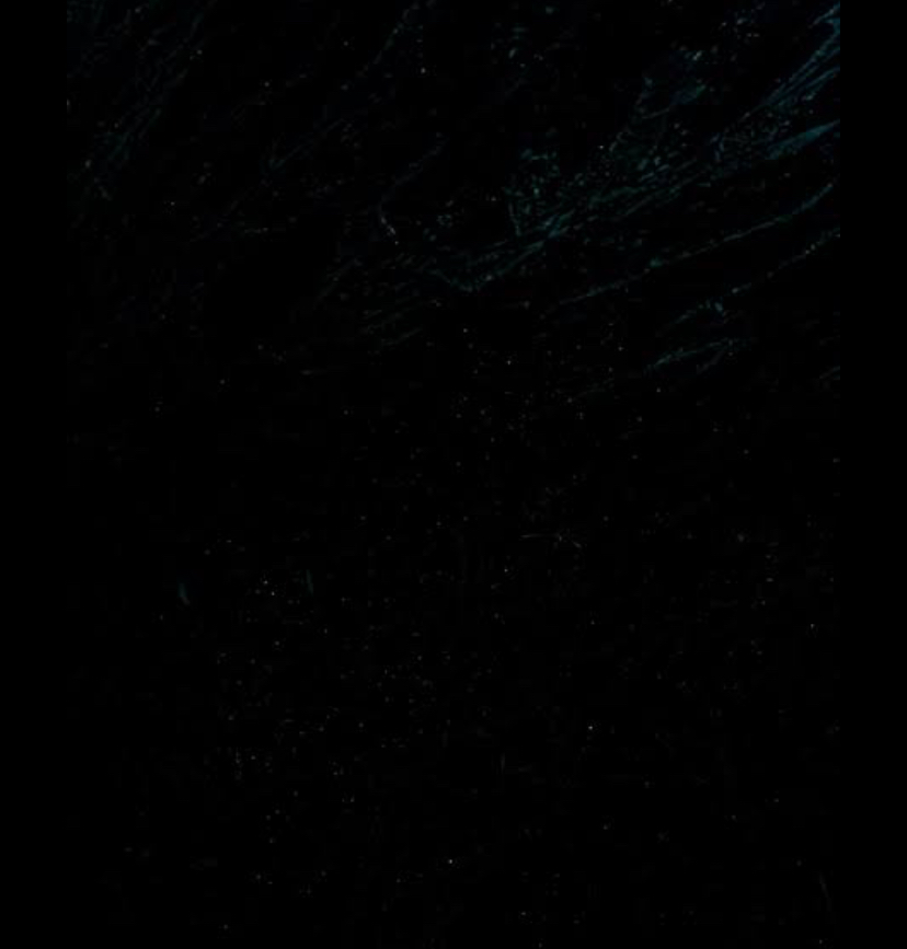 unaflor_21_1765364366