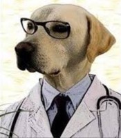 TheGoodDogtor