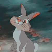 user_3077071