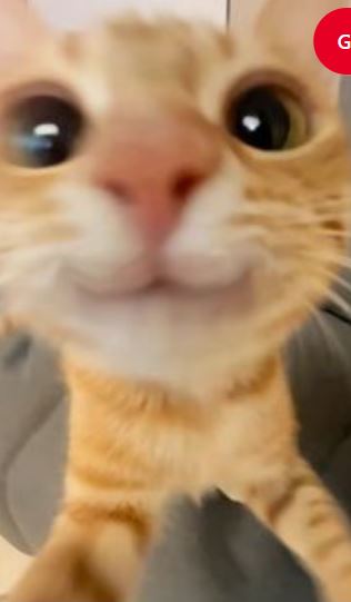 bioroca