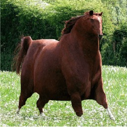HorseplayStudio