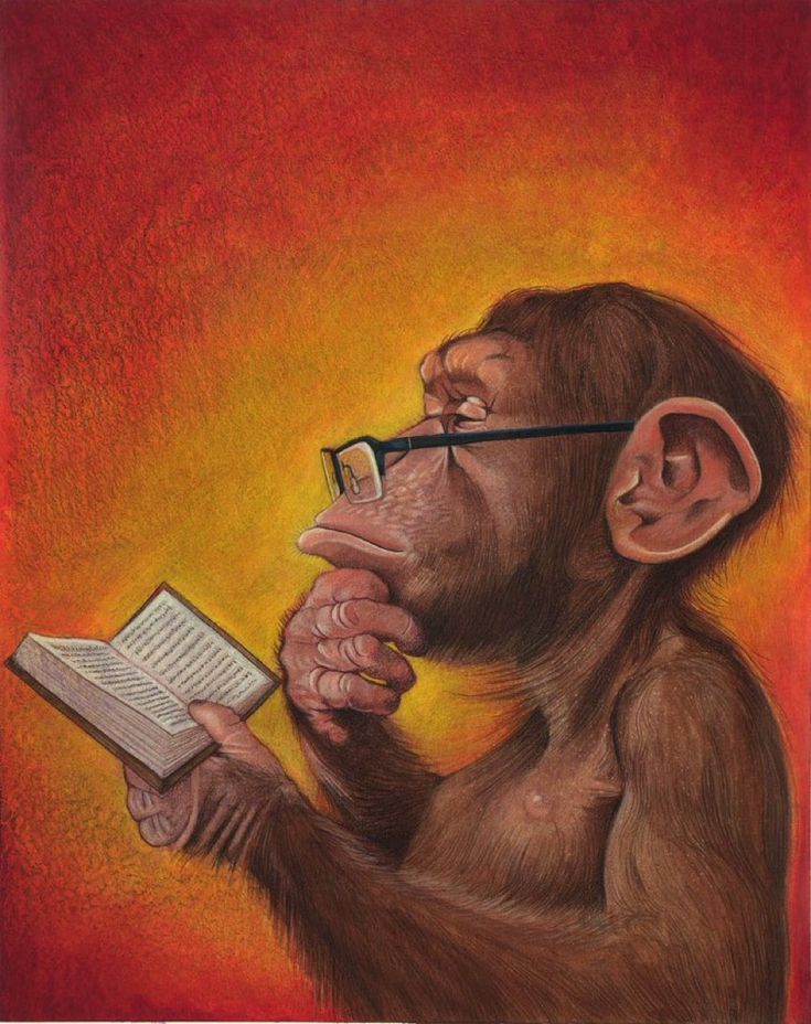 homoestudiantis