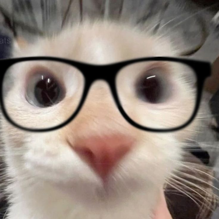 lenieia_13