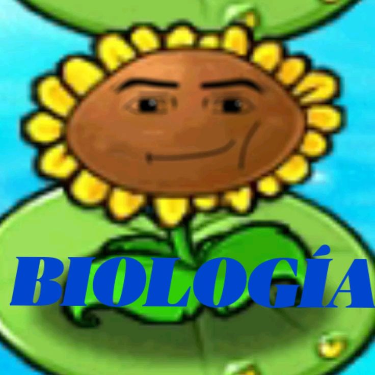 bio_gay