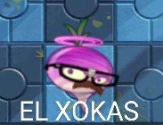 sofiiaharewood