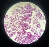 JMS_05