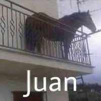 Juanprogramador