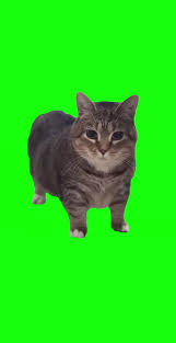 user_uiia
