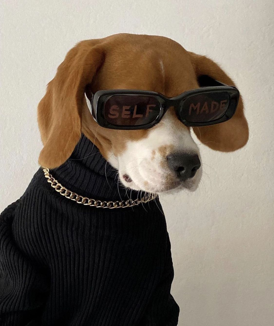 clarnniz