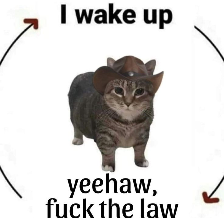 gigigigigigigi