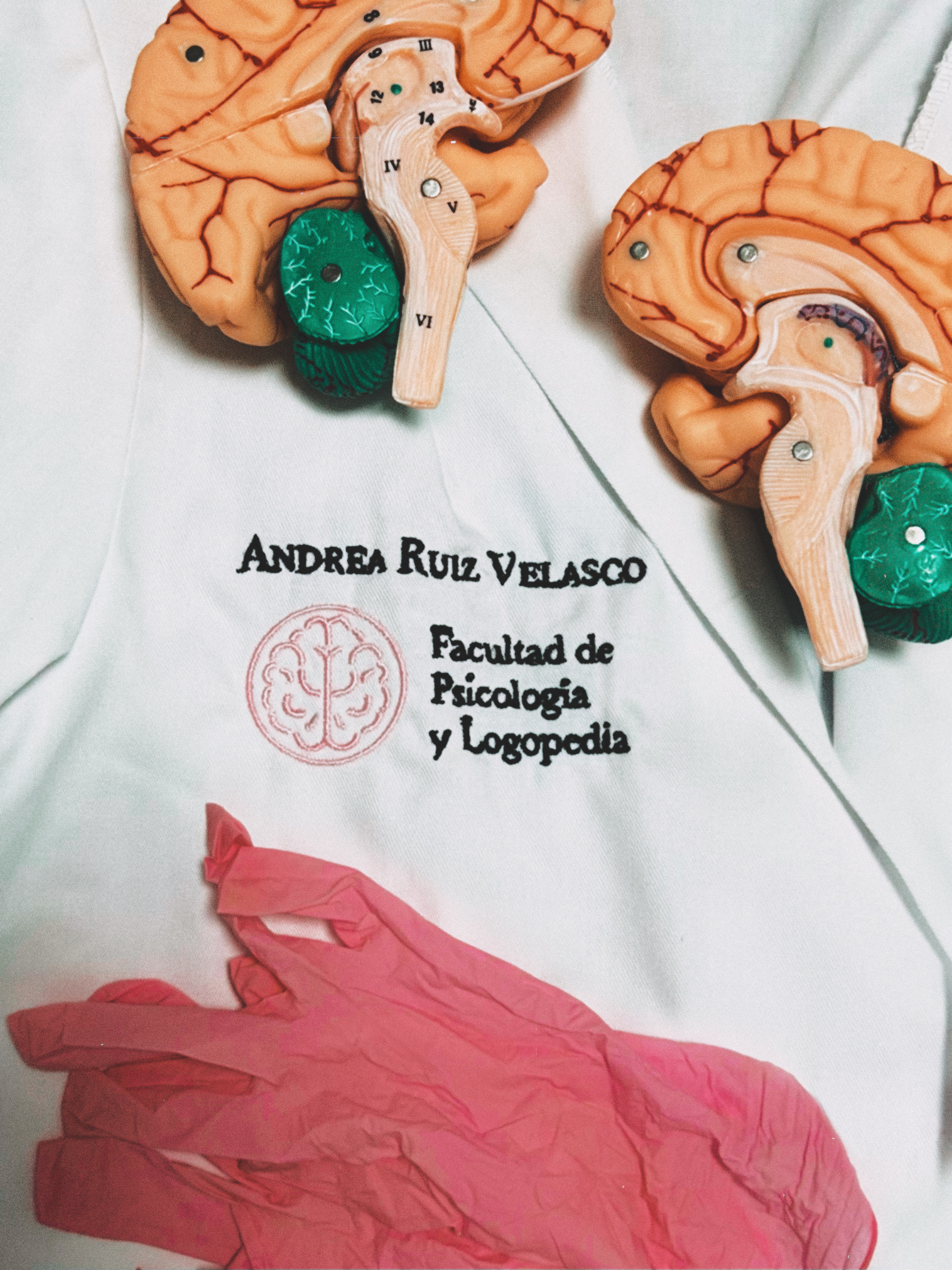 anndrearuiizz