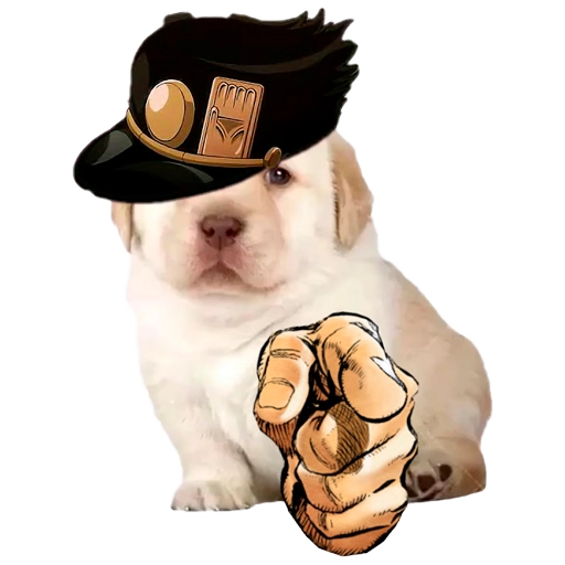 IkrAgt
