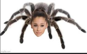 Arianaglande