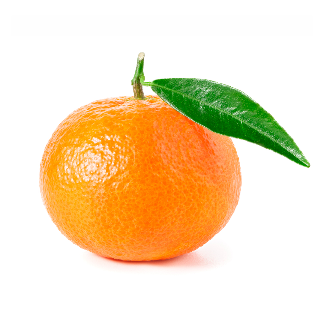 mandarina_usc