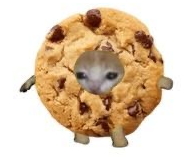 GalletaMaria_