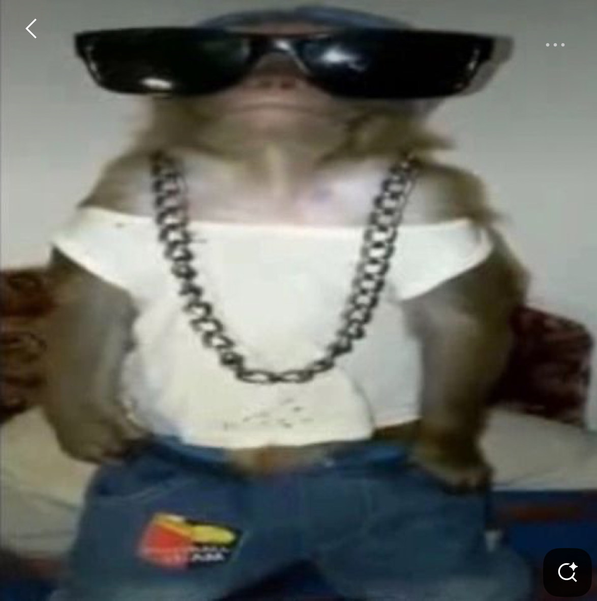 Tuputamadre33
