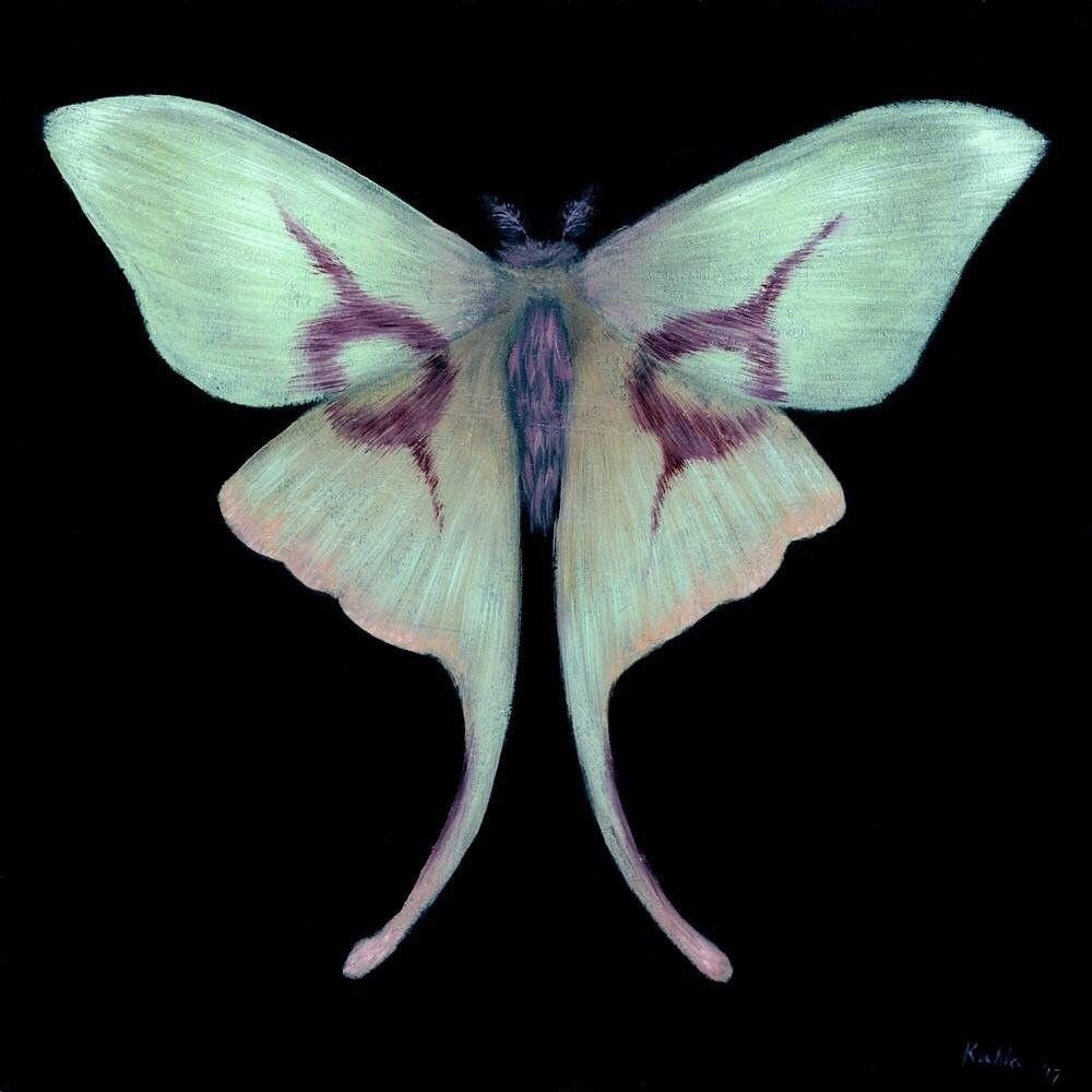 Bio_Ghost