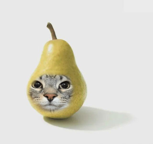 perafisica