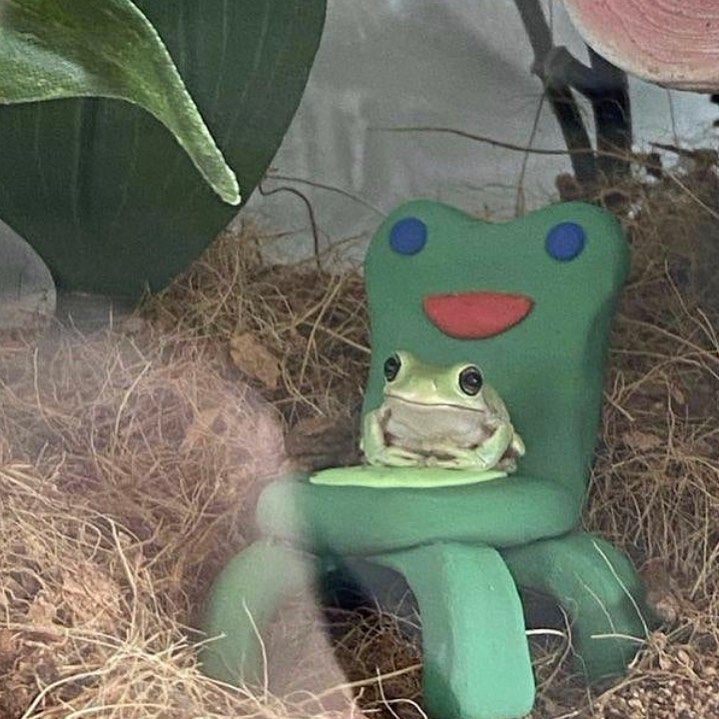 froggychair52