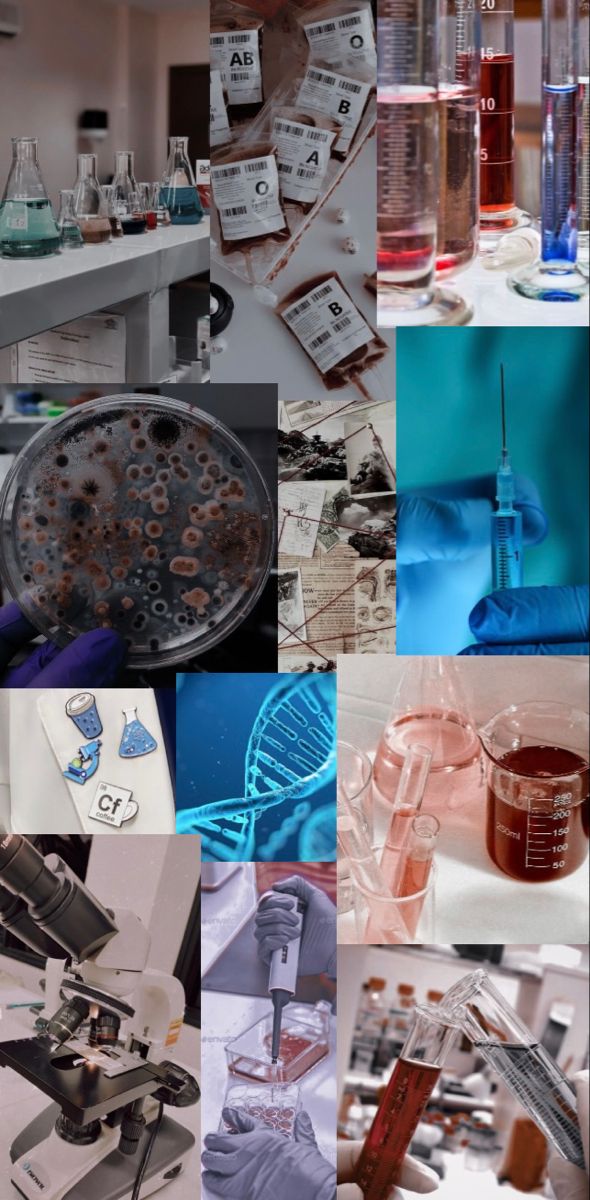 anonimx_bio11