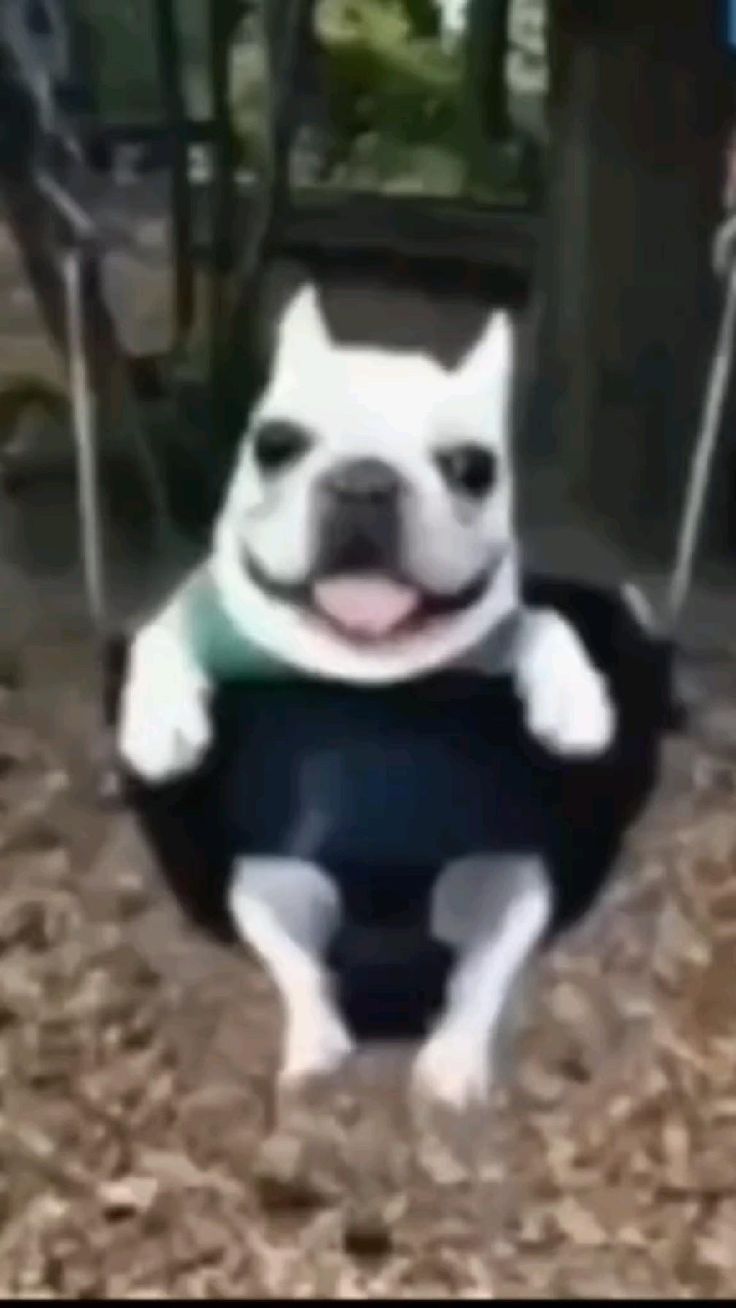 user_5124108