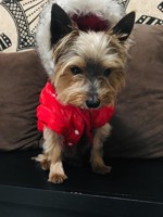 CintiaSugar_1696930953