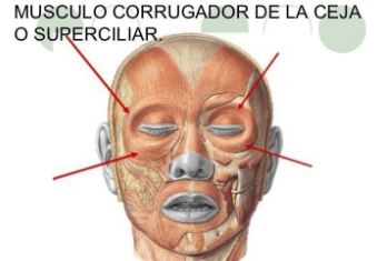 user_5271655