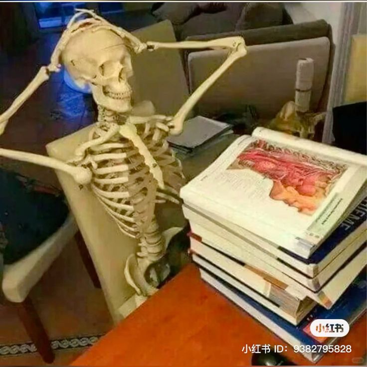 the_med_student