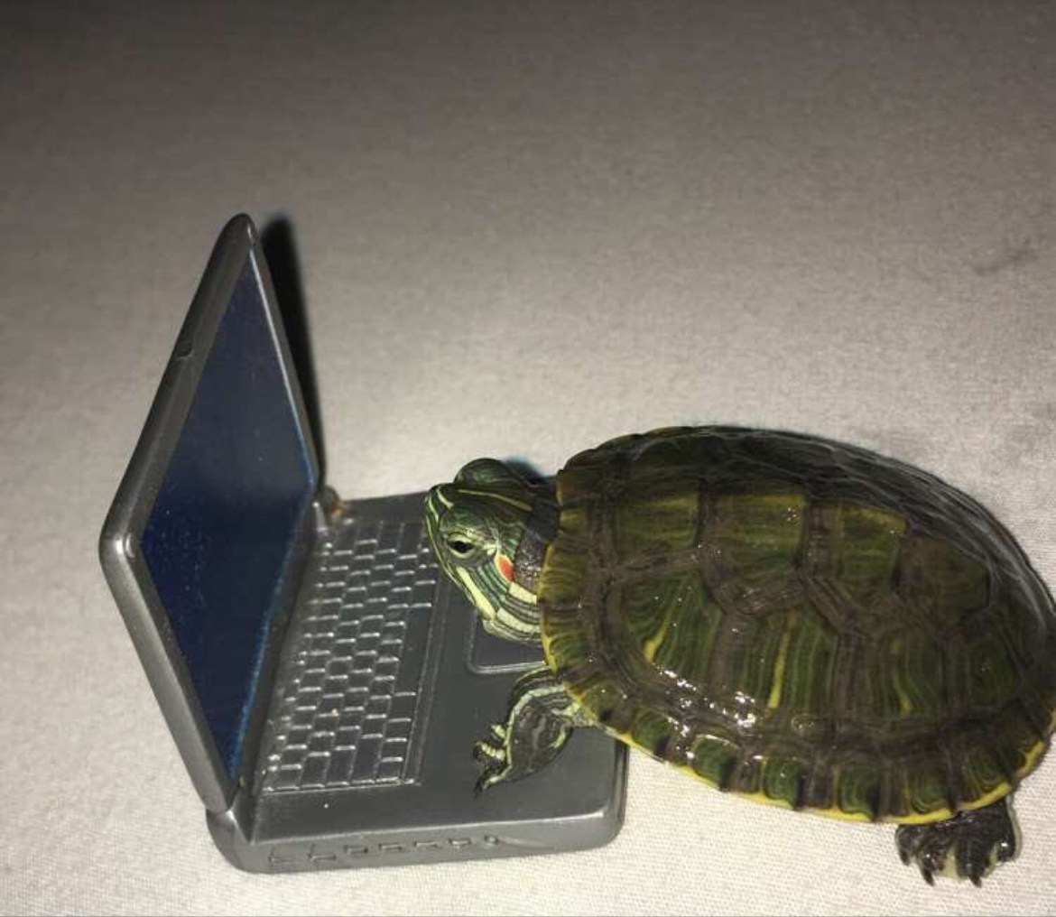 tortuGITA