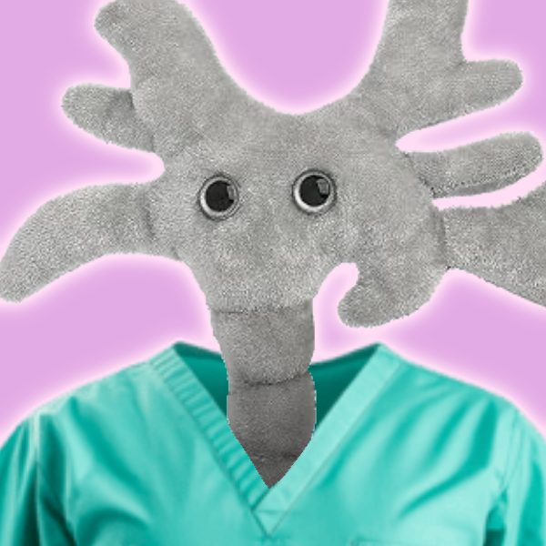 NeuroNurse