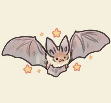 chiroptera_16