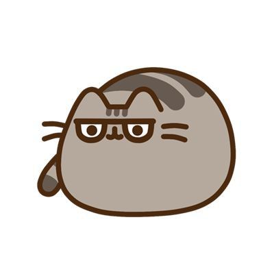 grey_cat_TO
