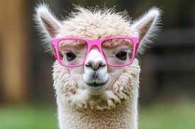 llama_congafas