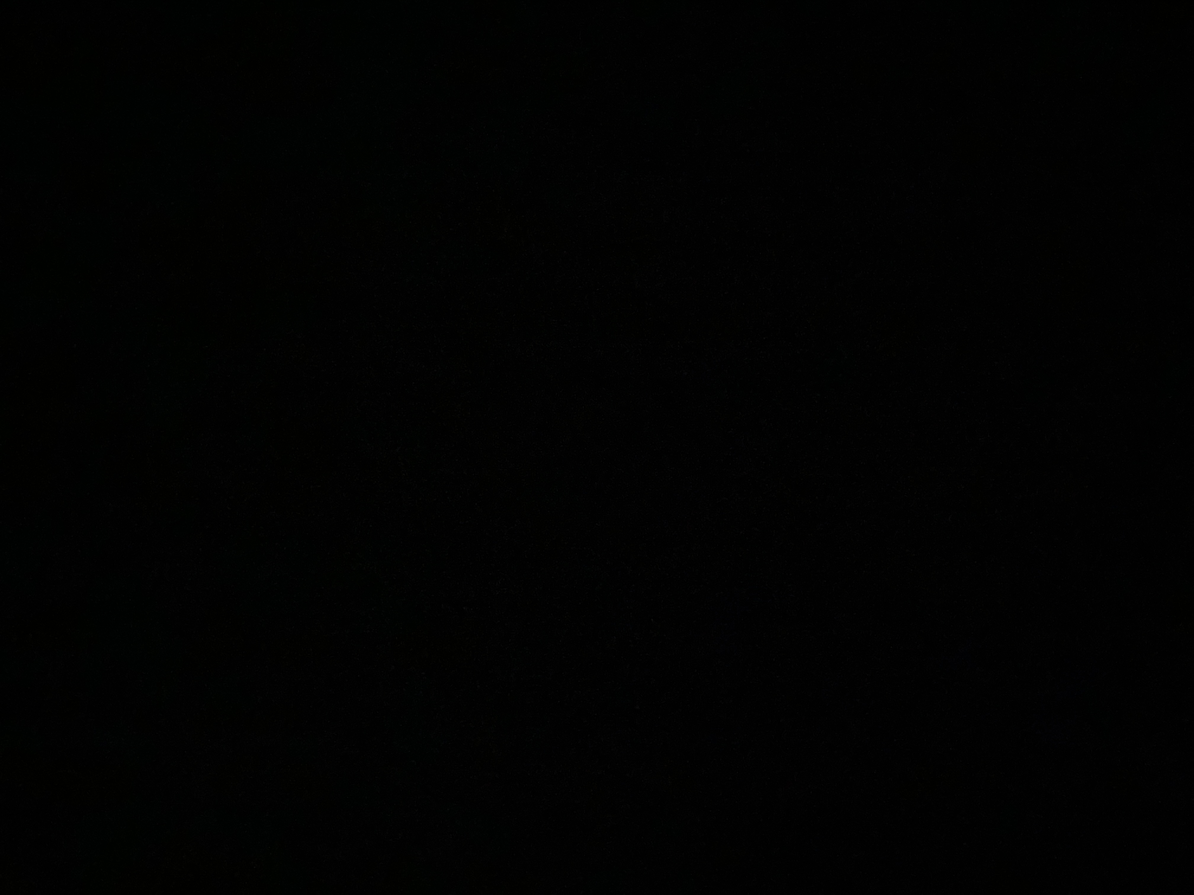 paula_978