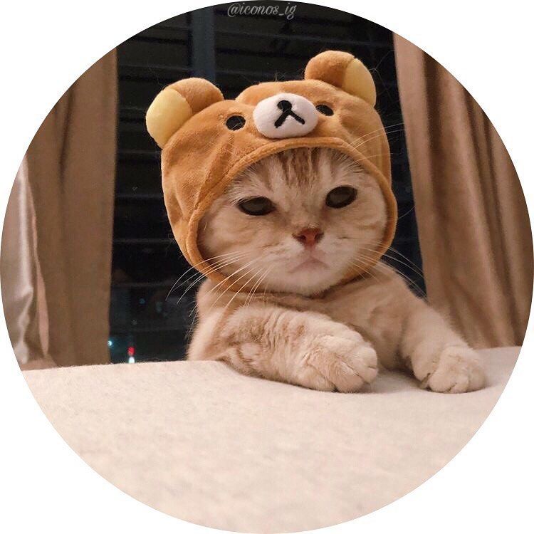 FatiimaBJ