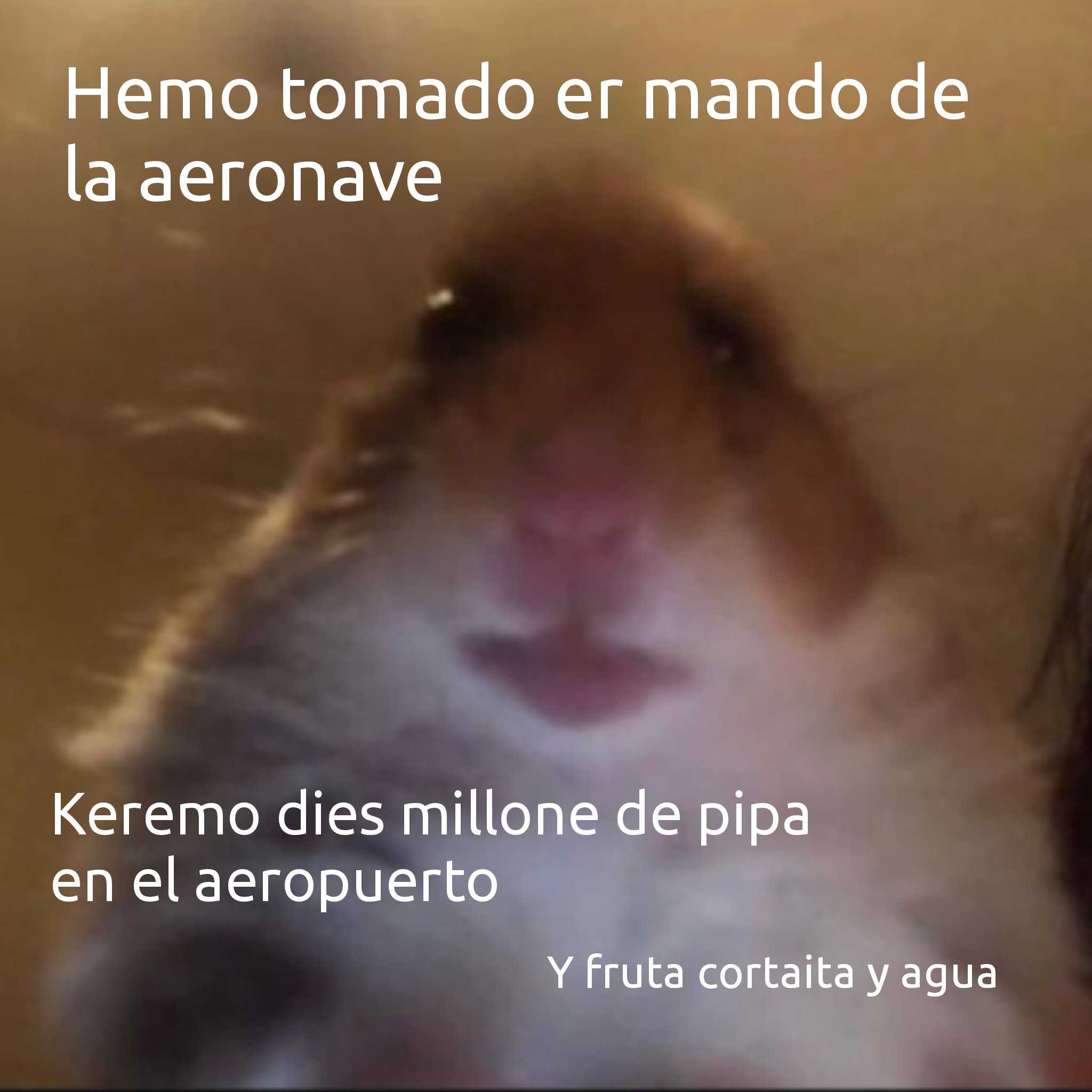 HAMPSTER