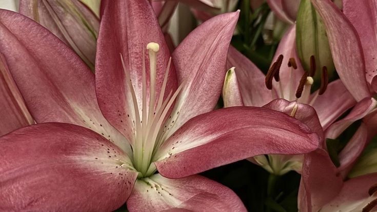 user_5918057