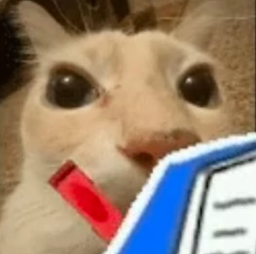 michi_estudioso