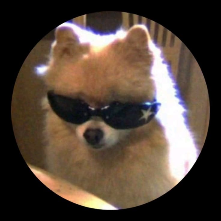 user_6135334