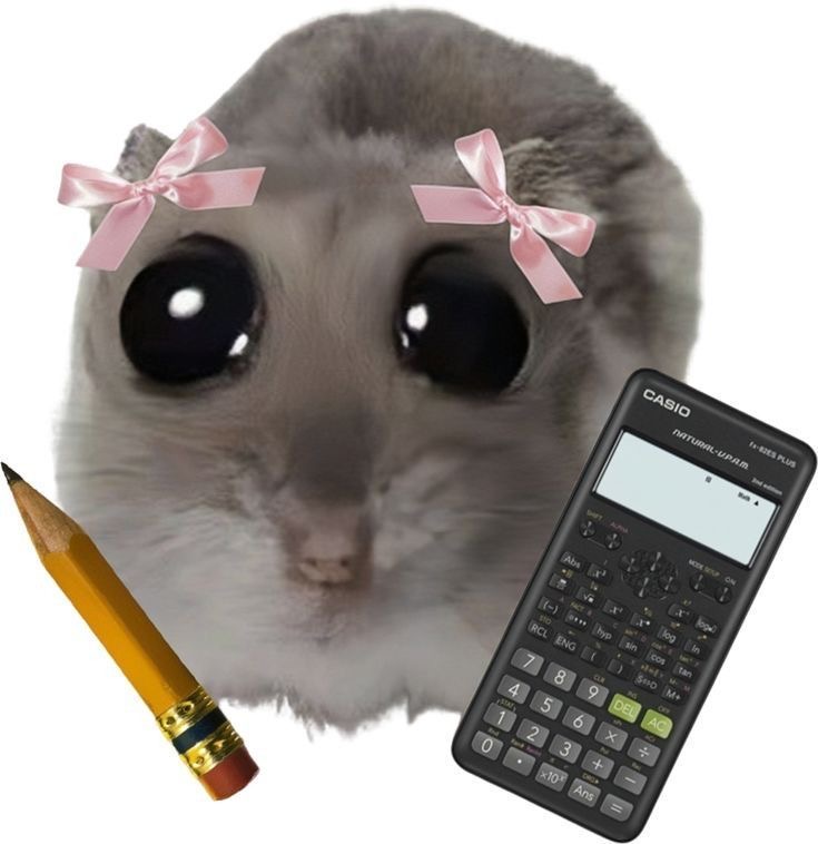 duniasm