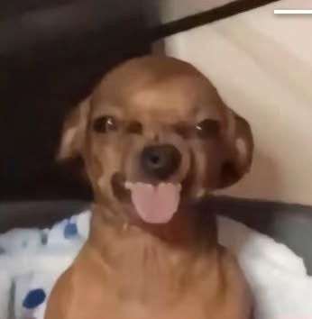 user_6224536