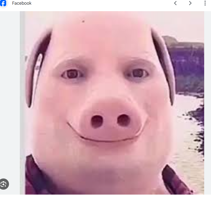 user_jjjjjjji