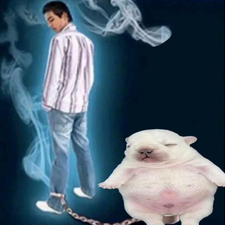 catapumchimpun