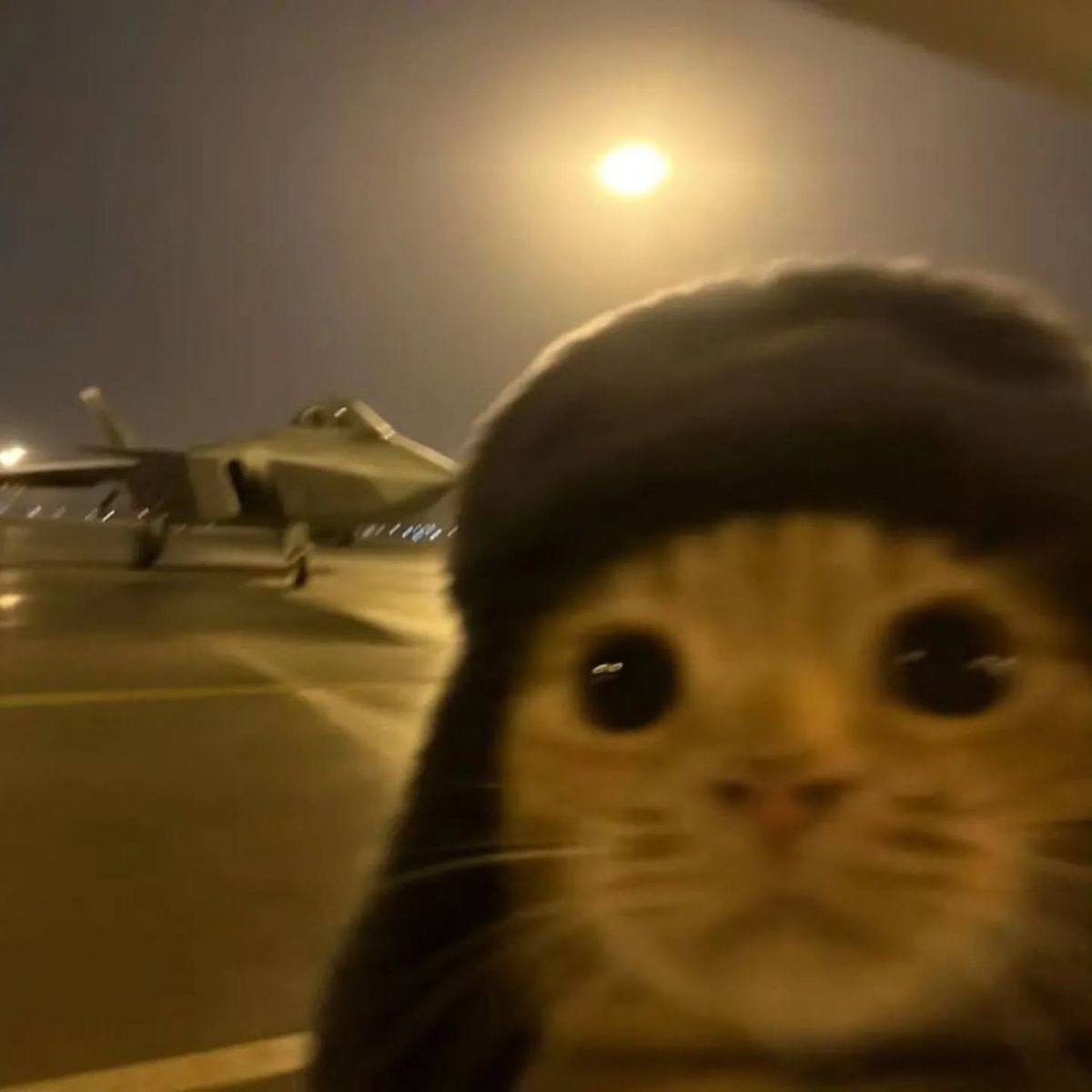 ani_sb09