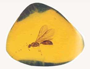 user_6544168