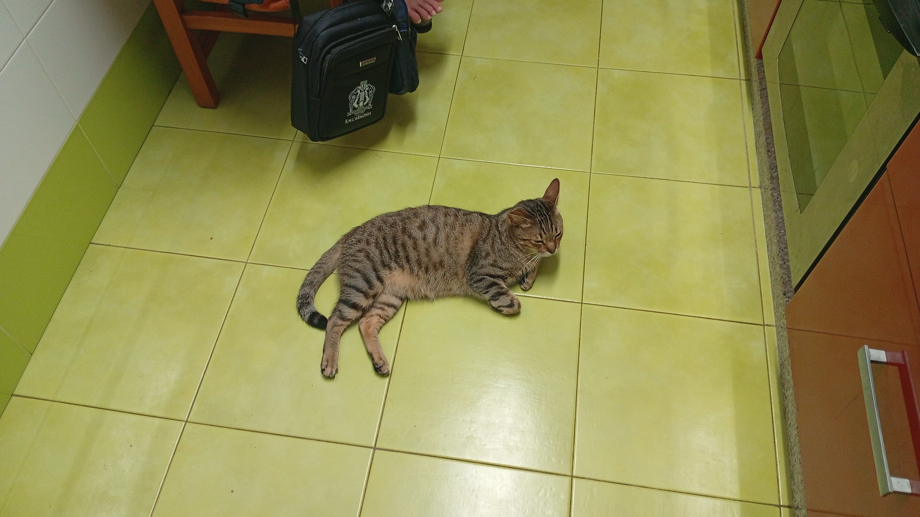 user_6567646