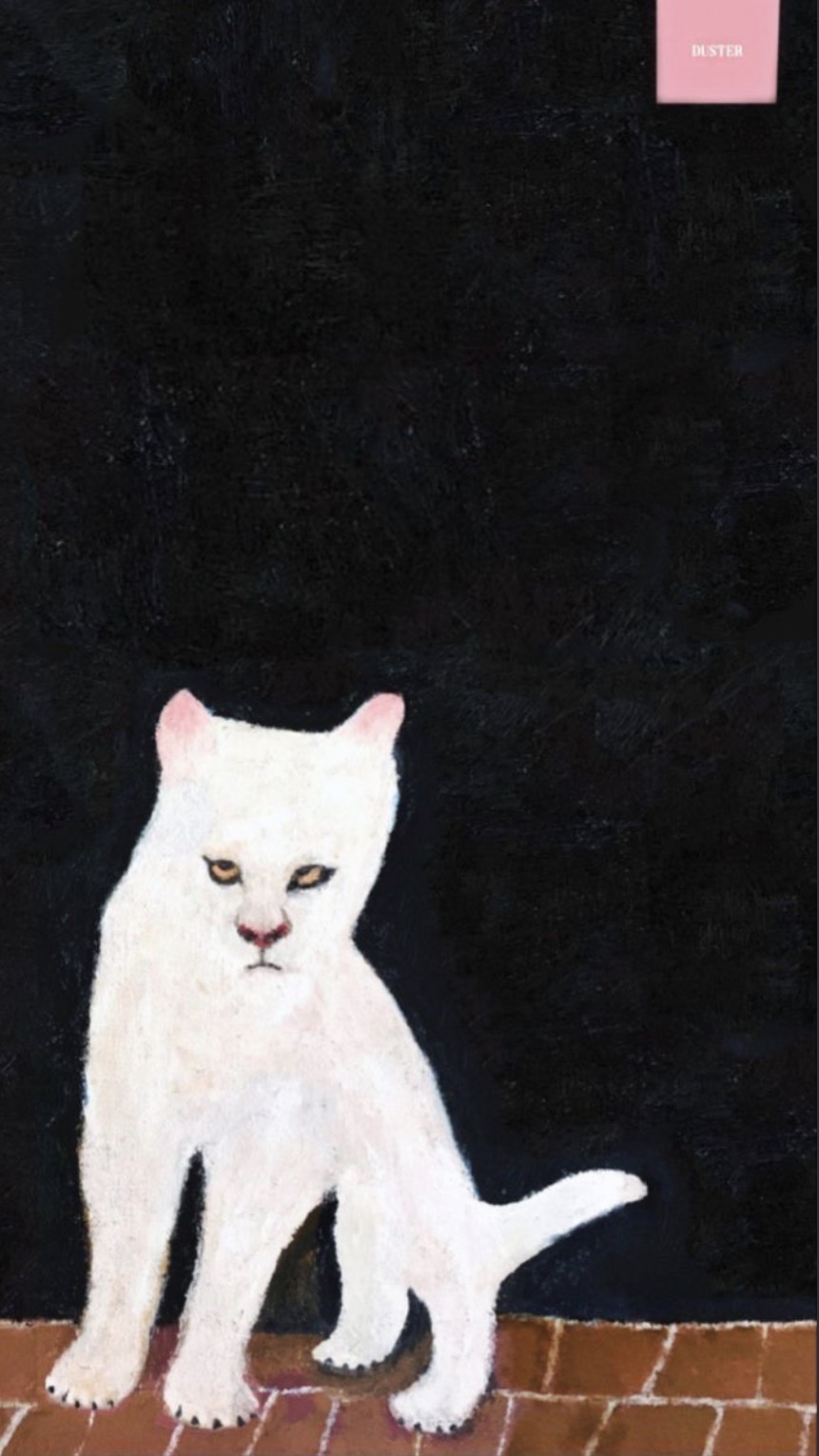 BarBarroso