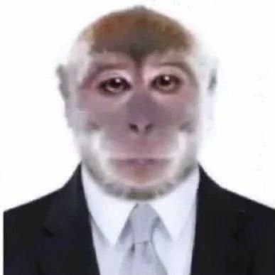 Lucaku_v2